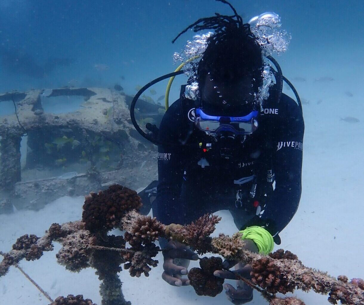 Frank the Masai Diver