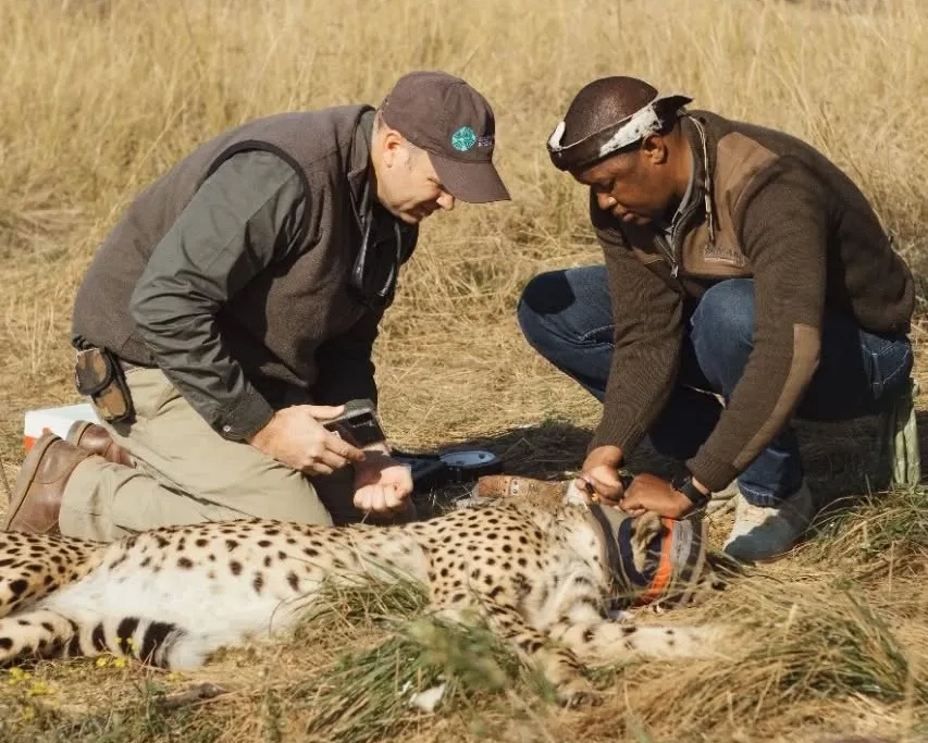 Aggie Banda from Royal Chundu in Zambia
