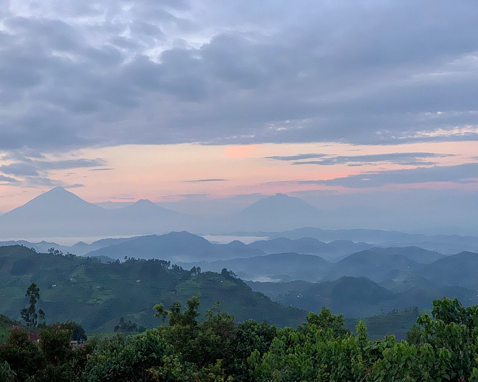 Barbara from Wild Horizons