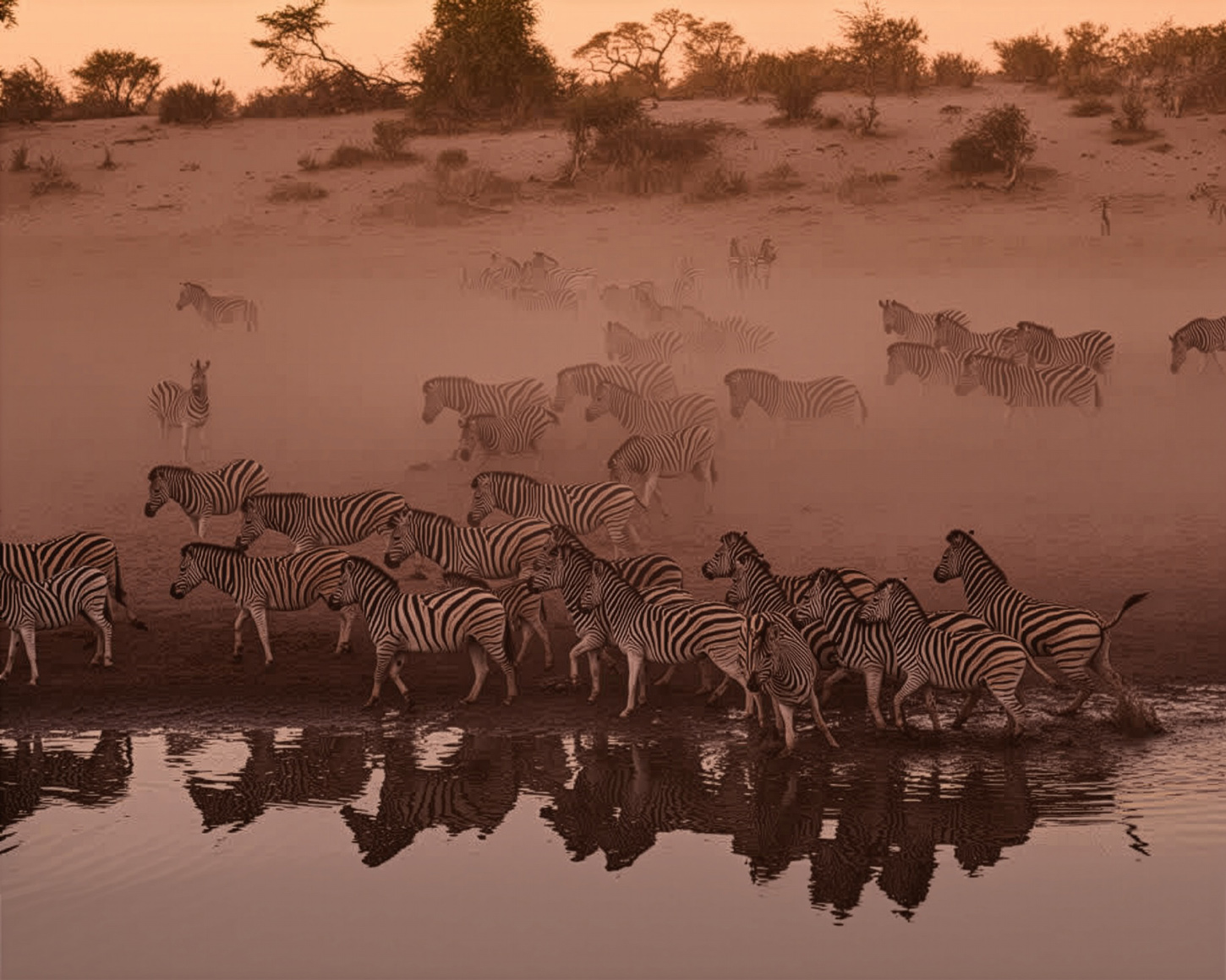 Aggie Banda from Royal Chundu in Zambia